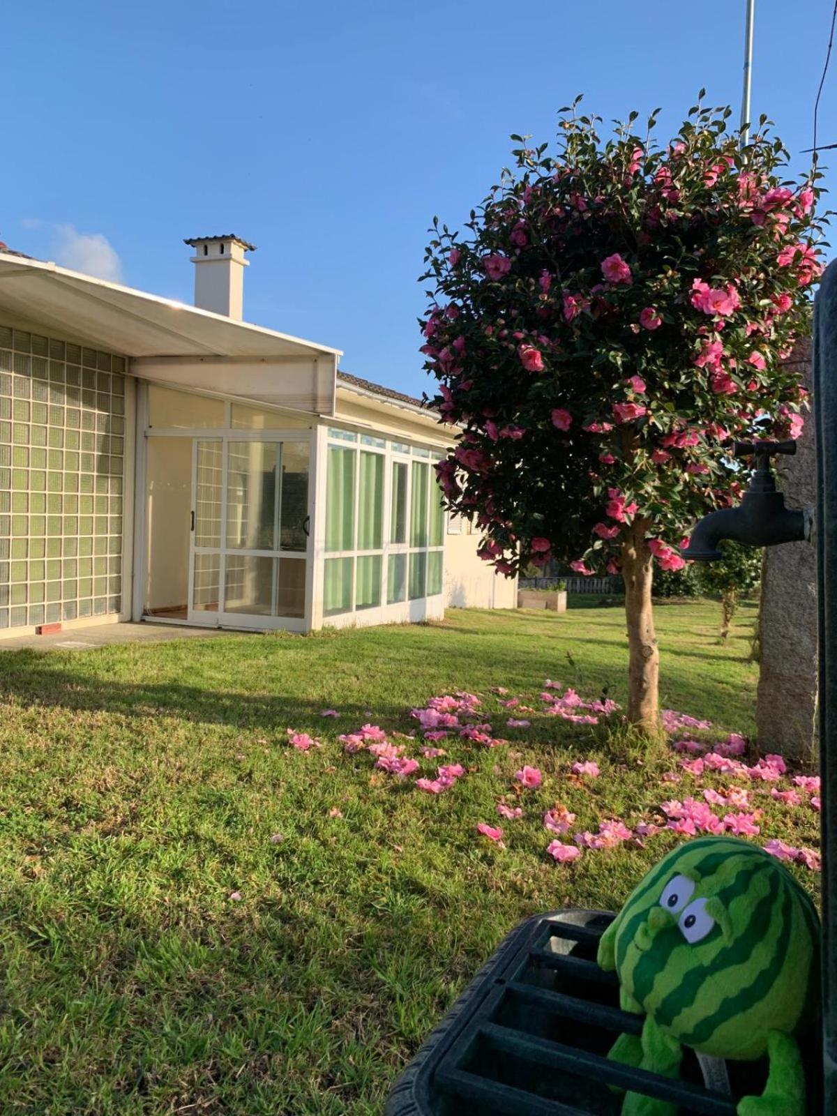 Bed and Breakfast A Casa De Abelleira Ponteareas Exterior foto