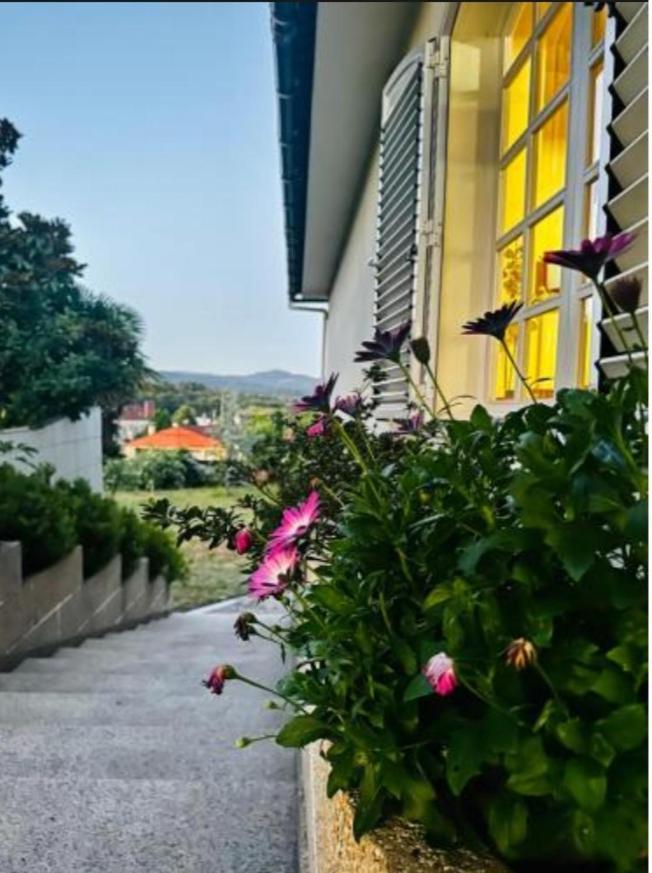 Bed and Breakfast A Casa De Abelleira Ponteareas Exterior foto