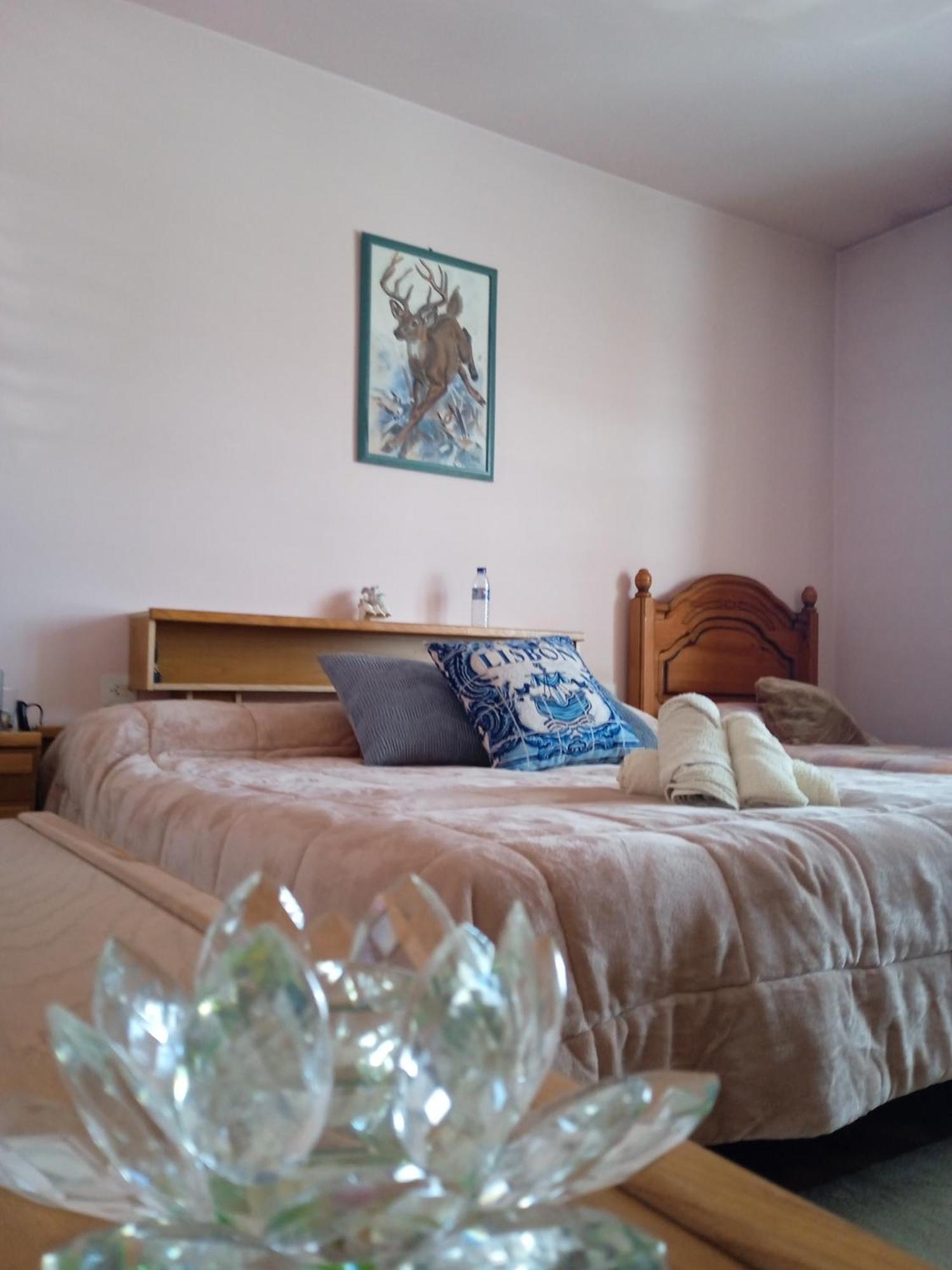 Bed and Breakfast A Casa De Abelleira Ponteareas Exterior foto