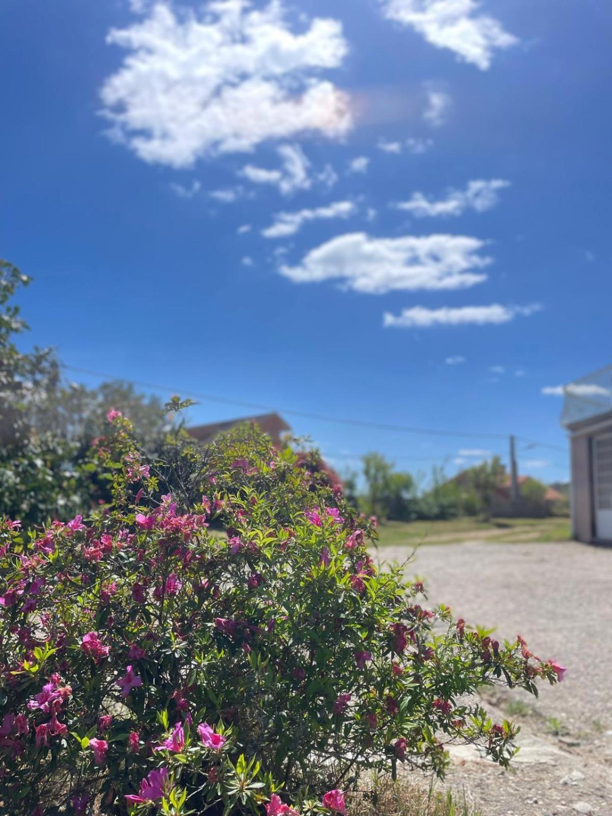 Bed and Breakfast A Casa De Abelleira Ponteareas Exterior foto